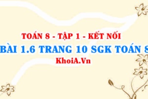 Bài 1.6 trang 10 SGK Toán 8 tập 1 Kết nối tri thức